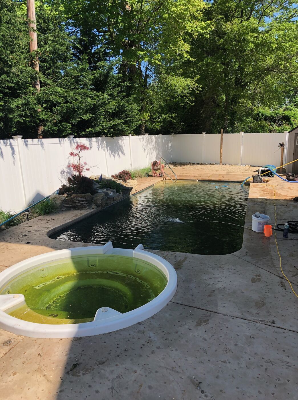 Algae-green, neglected swimming pool before service