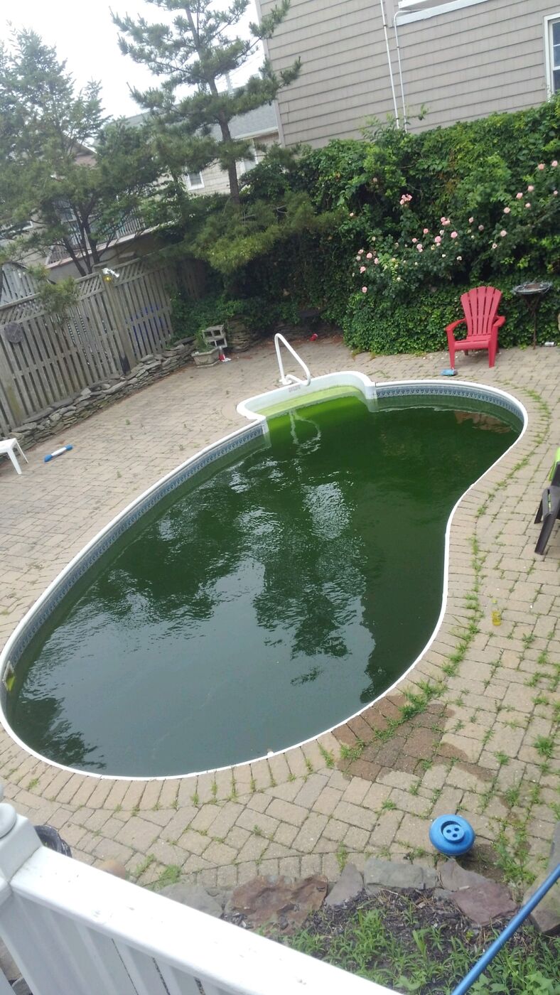 Green pool ahead of a holiday weekend, before emergency service