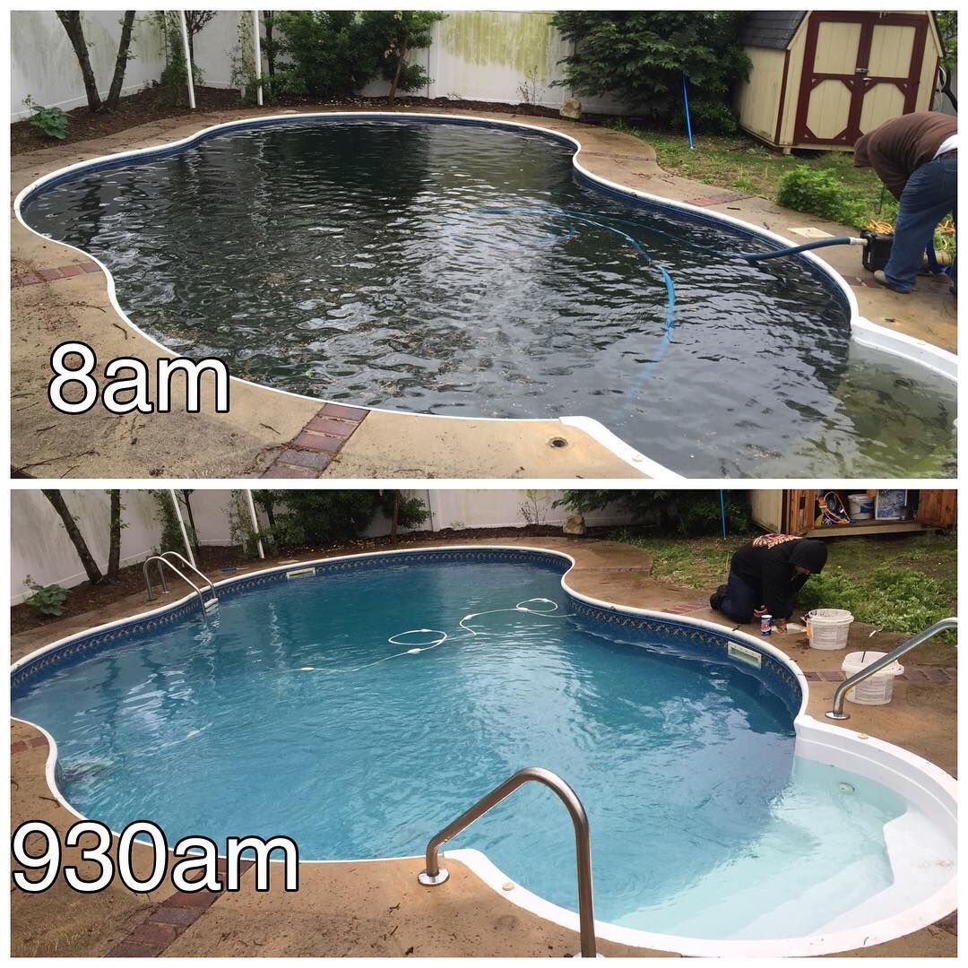 A crystal-clear backyard pool maintained by Amazon Pools